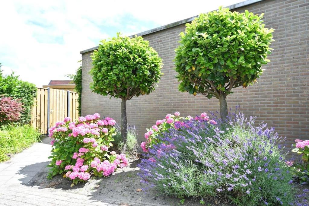 Vrijvakantiehuis Houtenburgseweg 2 Заутеланде Екстериор снимка
